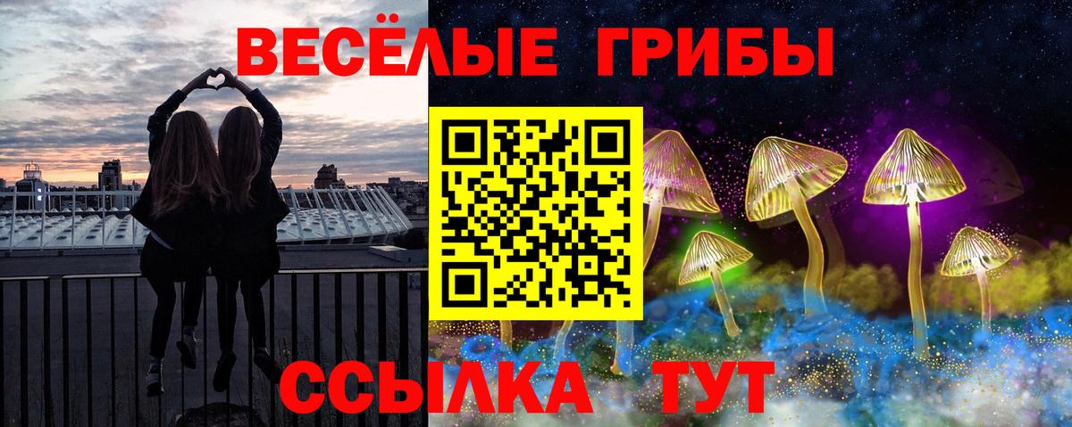 Псилоцибиновые грибы MAGIC MUSHROOMS Кимры