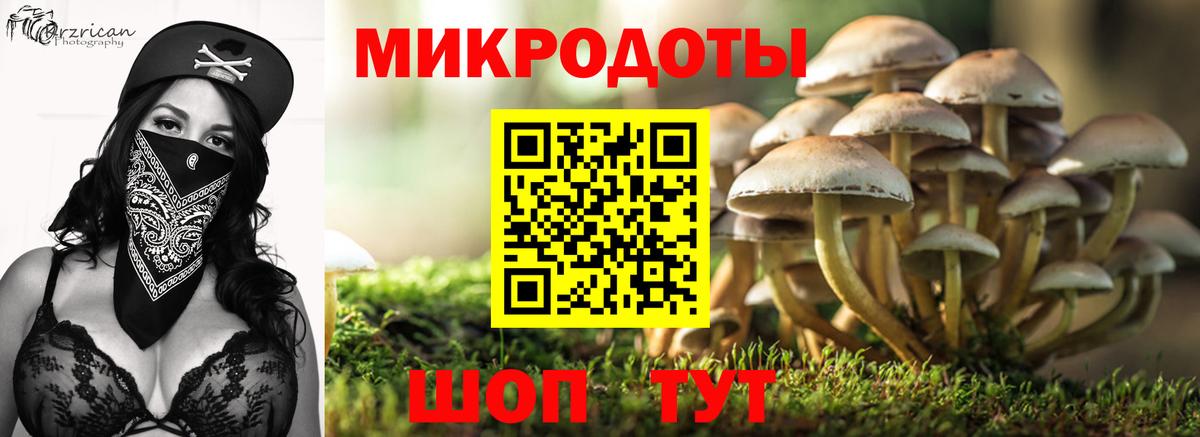 Псилоцибиновые грибы Cubensis  Галлюциногенные грибы Magic Shrooms  Кимры  Вход с VPN 