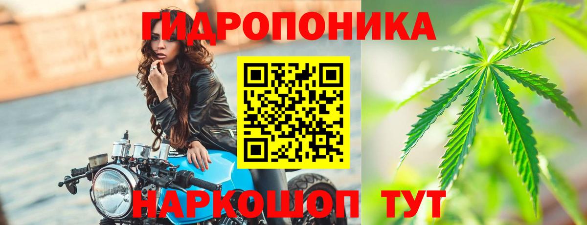 МАРИХУАНА MAZAR  Вход с VPN  Кимры  Конопля VHQ  Конопля THC 21%  Каннабис тримм 